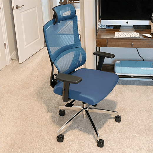 Ergoal One Chair Review Comfort Ergonomics and More