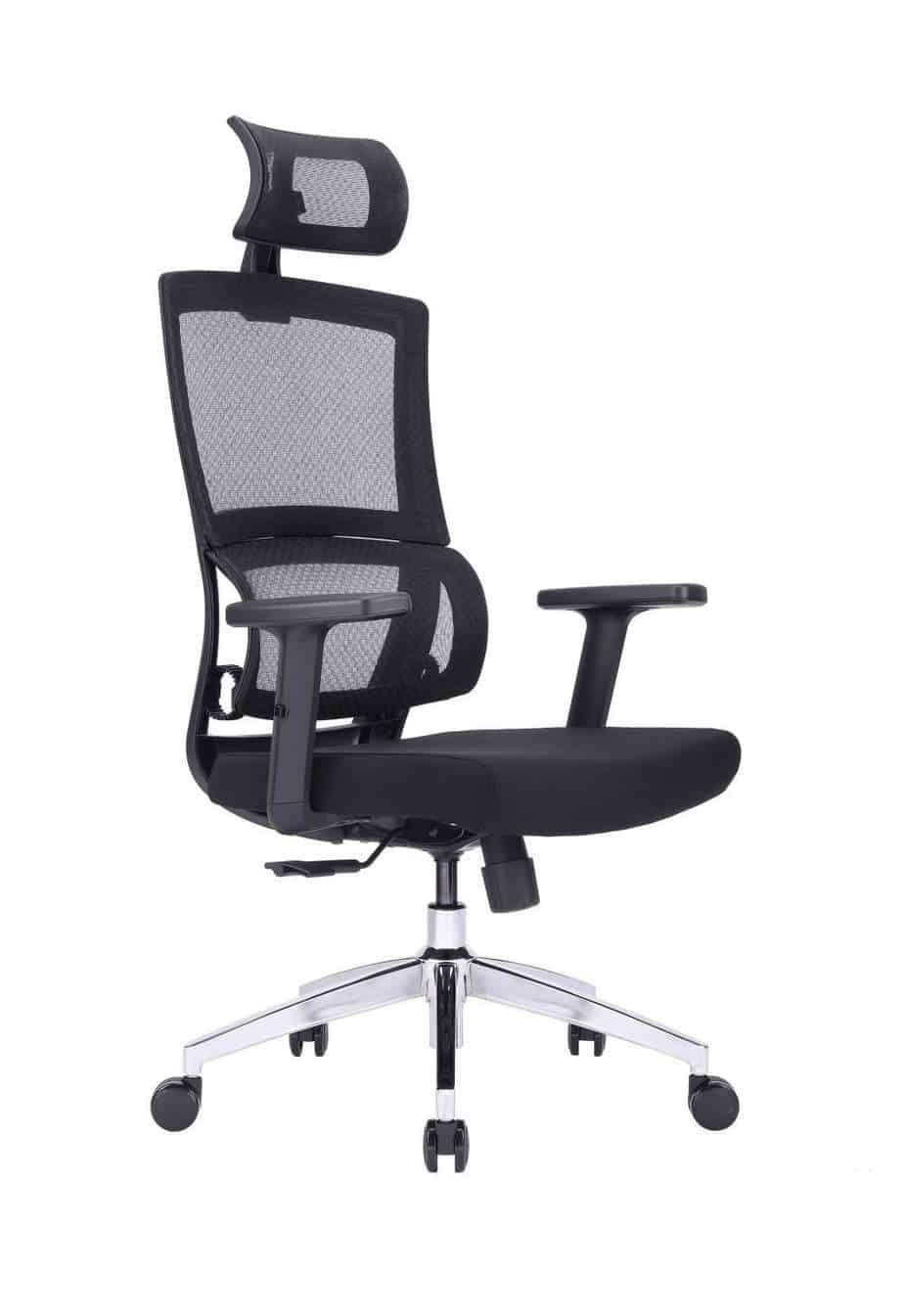Ultimate Executive™ Mid-Back Ergonomic Office Chair 2490 - PainFree Living:  LIFEFORM® Chairs